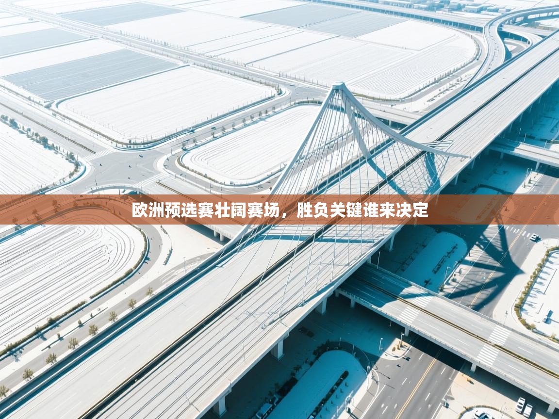 欧洲预选赛壮阔赛场，胜负关键谁来决定  第2张