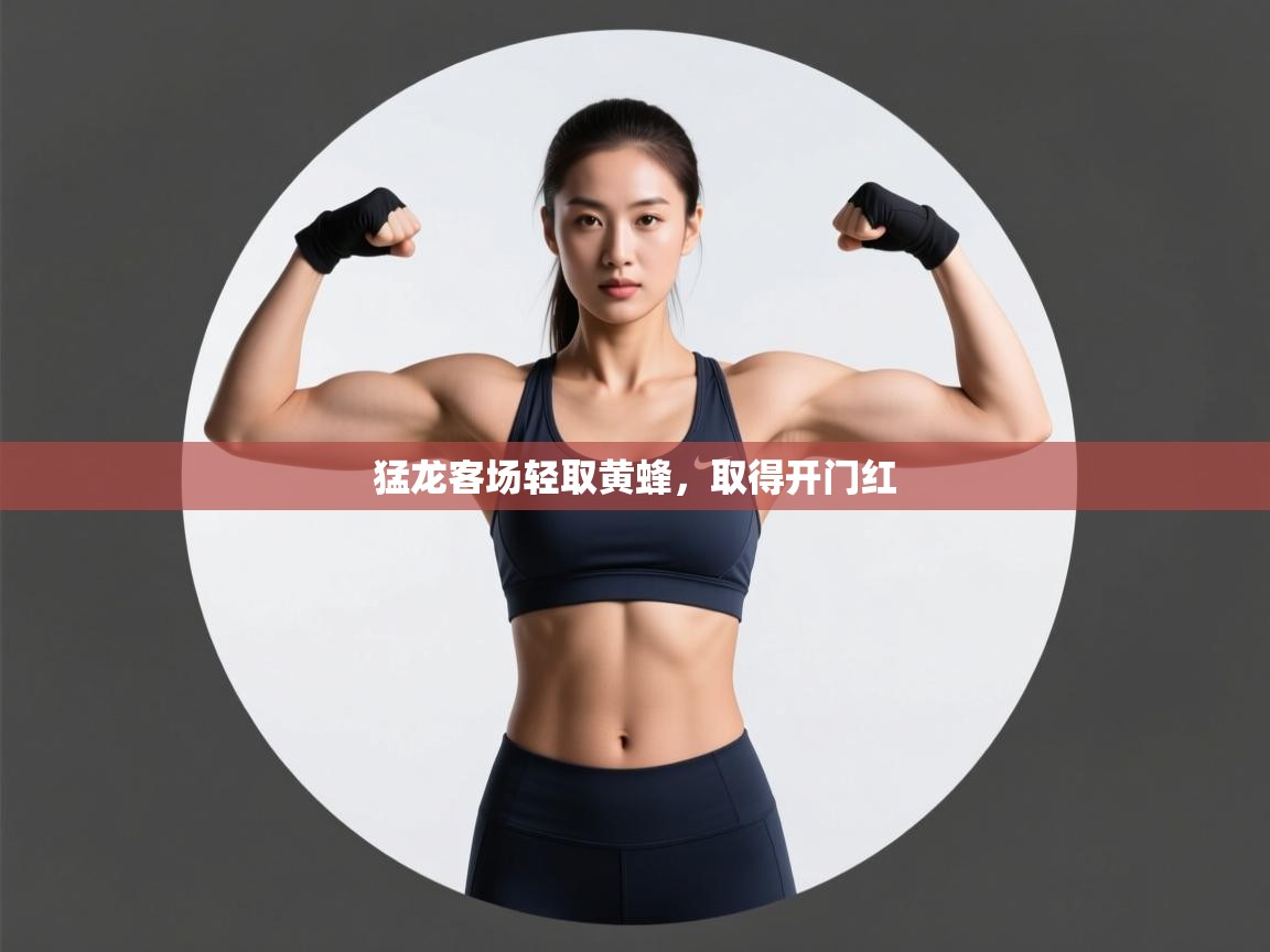 猛龙客场轻取黄蜂,取得开门红 第2张